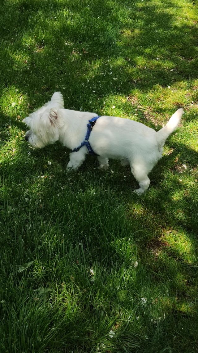 walk