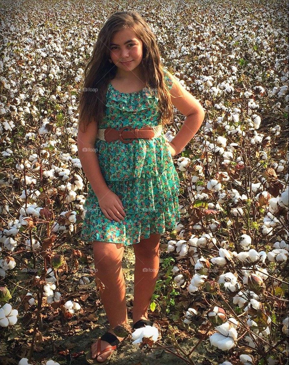 Fields of cotton 