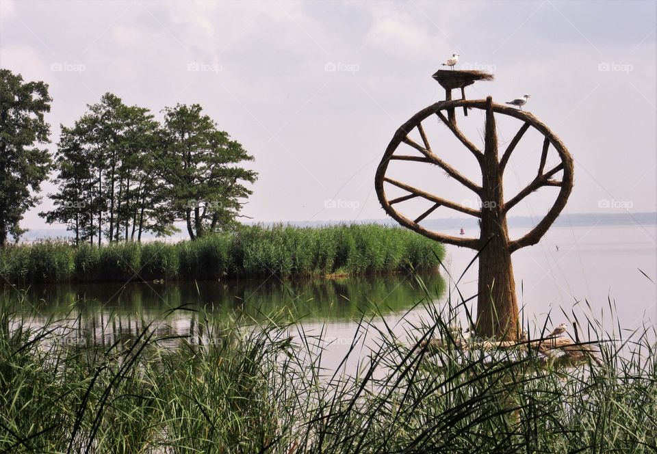 nature sculptures in the Lithuania Neringa
