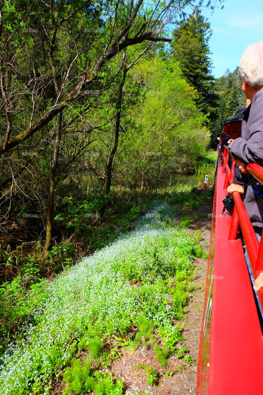 Enjoying the scenery on a tourist train.