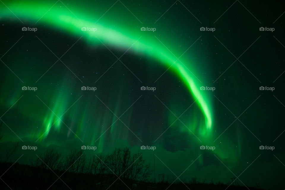 the dance of northen ligths: aurora borealis