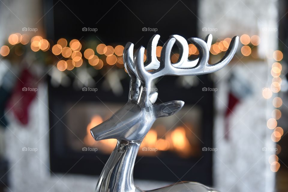 Holiday reindeer 