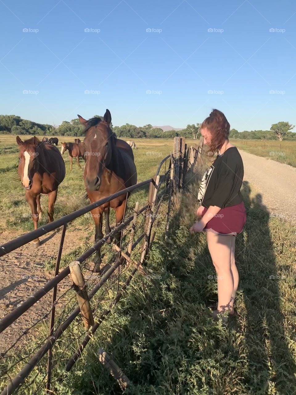 Girl calling horses 