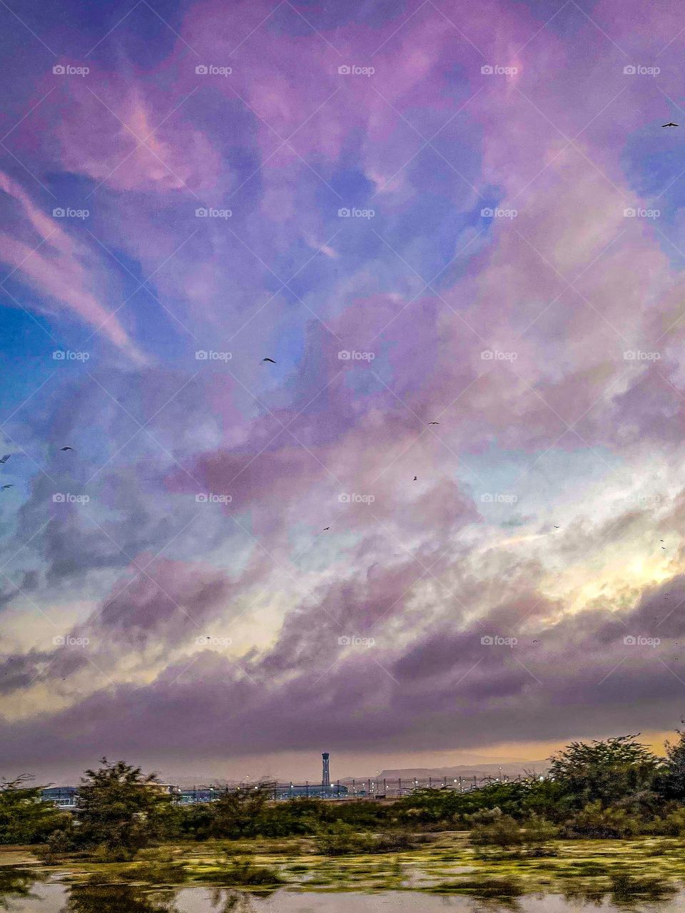 Purple sky with prominent clouds 