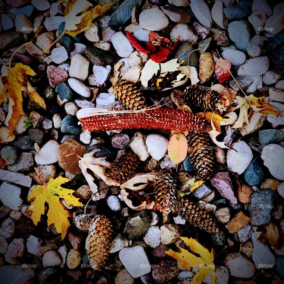 Beauty is everywhere