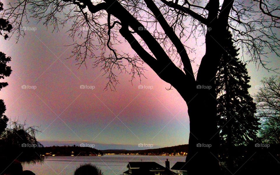 True Colors. I took this pic on 12/6/2015 overlooking Lake Hopatcong in New Jersey