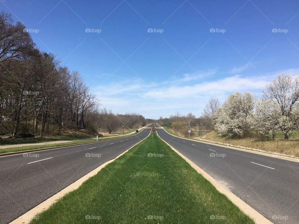Spring Roadway