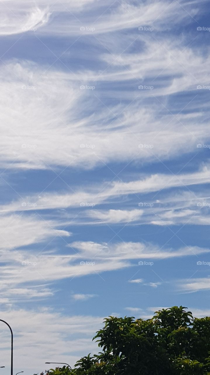 Whispy Summer Clouds