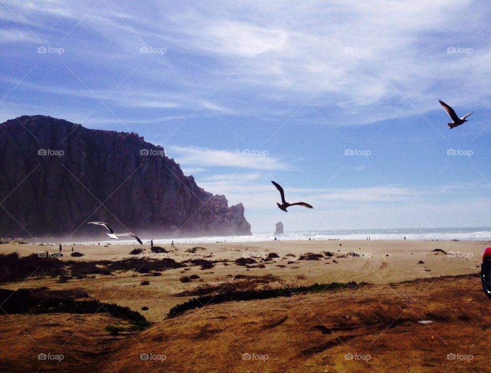 Morro Bay 