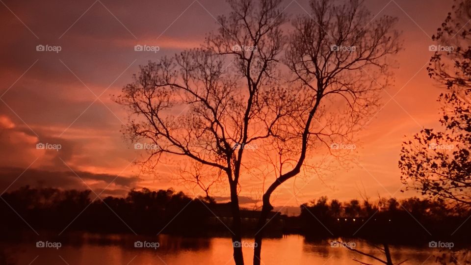 The Night Sky is working with the Evening Colours Reds, Purples, Oranges, and the Znight Sky is Near. 