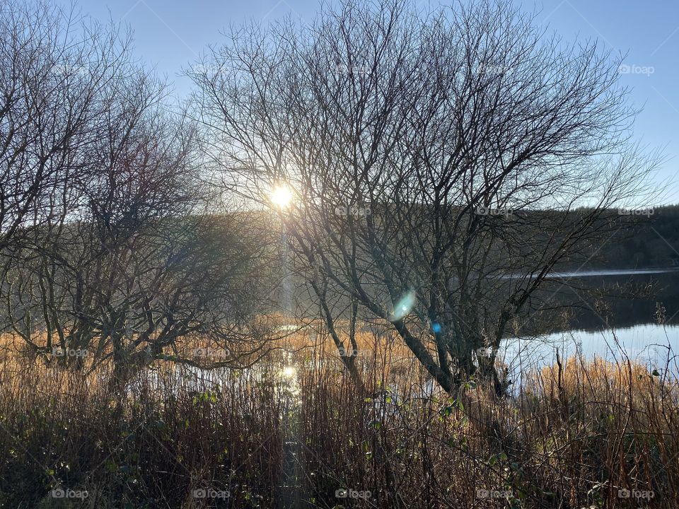 Let the sunshine in. 