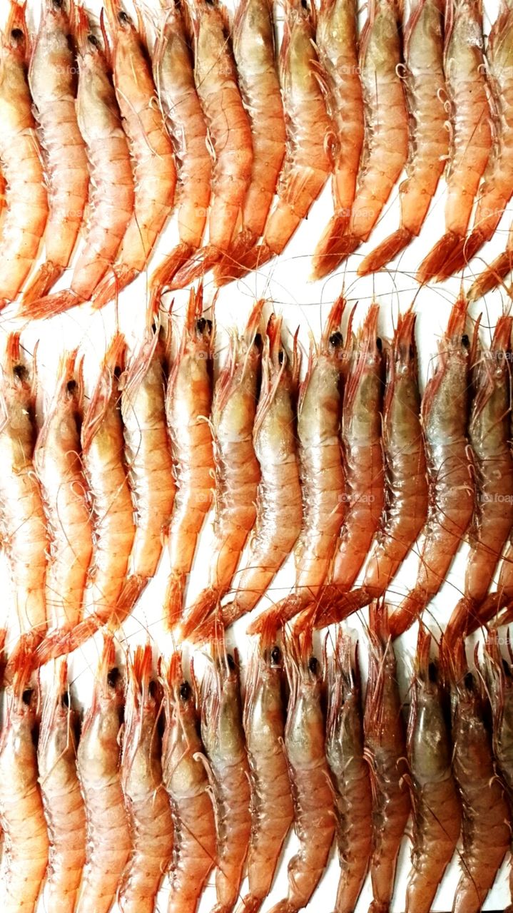 many prawns ordered in a row