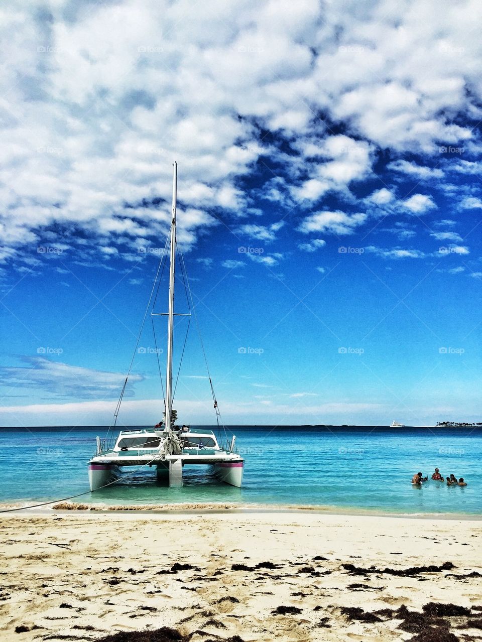 Catamaran sailing in sea