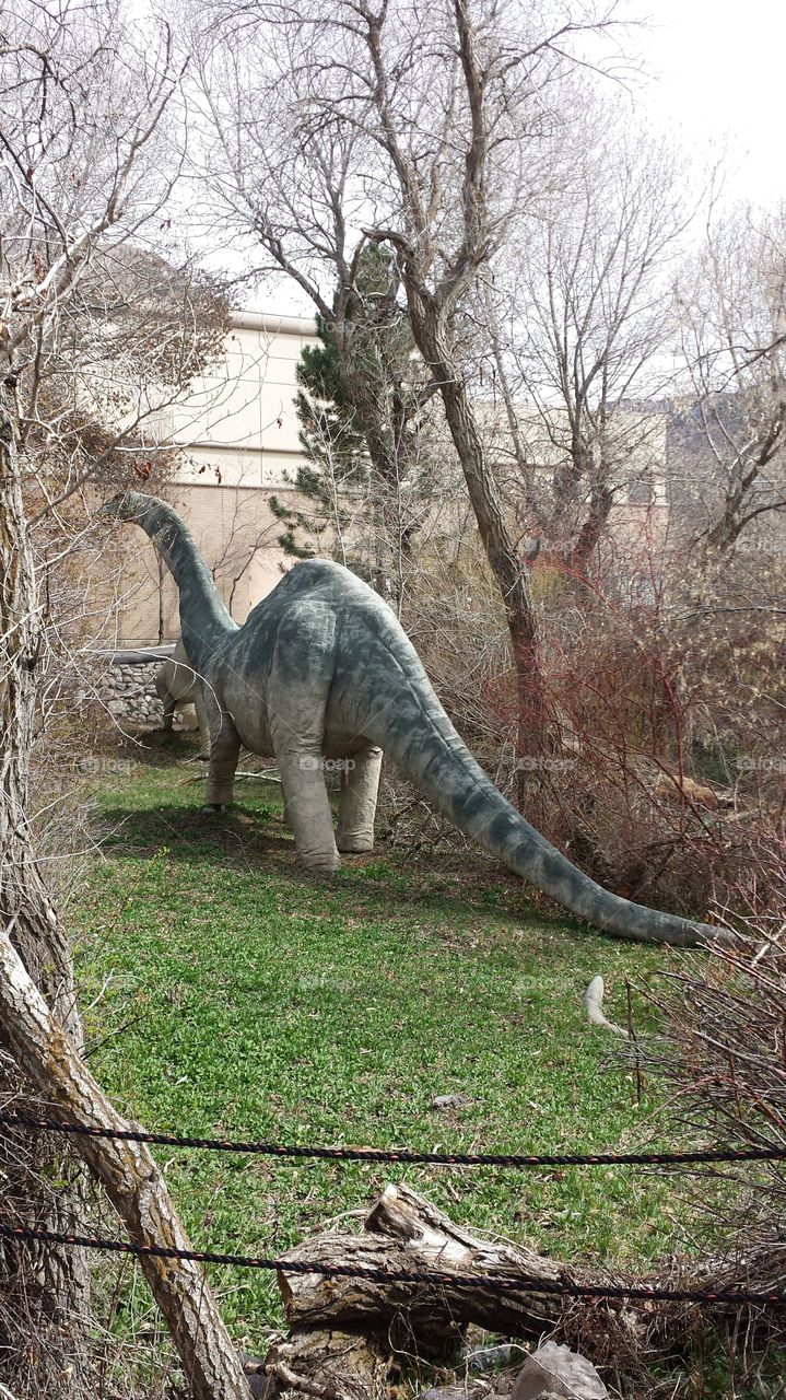 Dinosaur