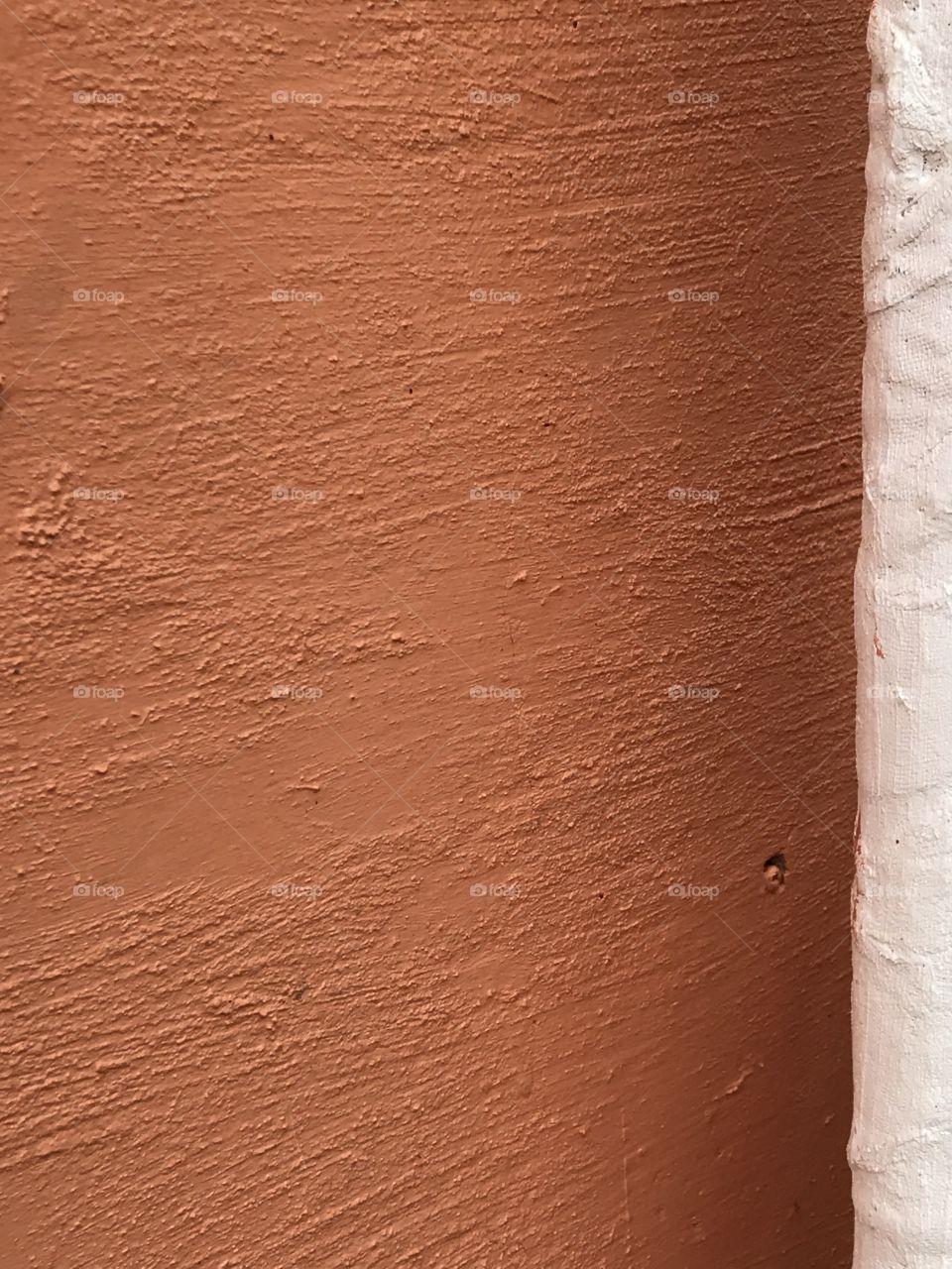 The orange color story 