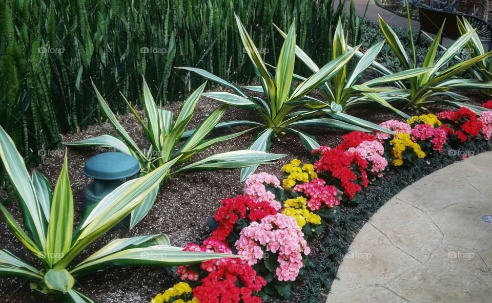 Flowers and green plants border a patio