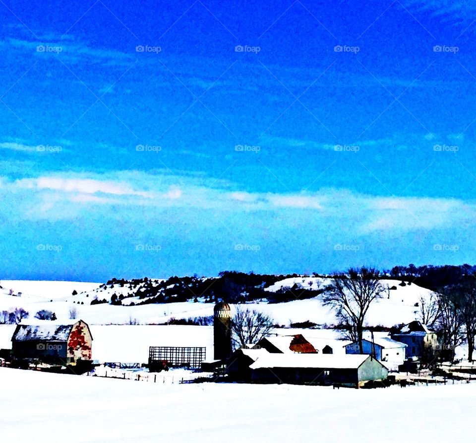 Snowy farm 