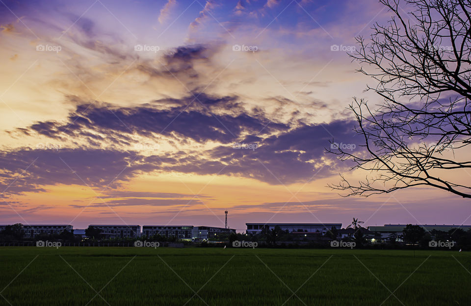 Beautiful light of Sunset with clouds in the sky reflection behind the building and paddy fields.