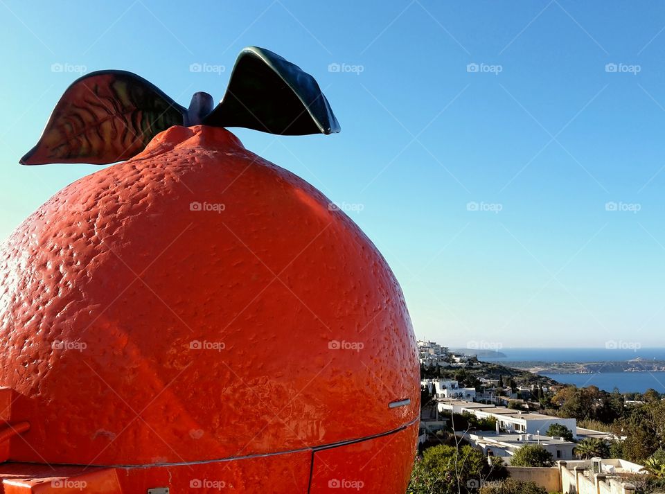 in the land where the oranges grow