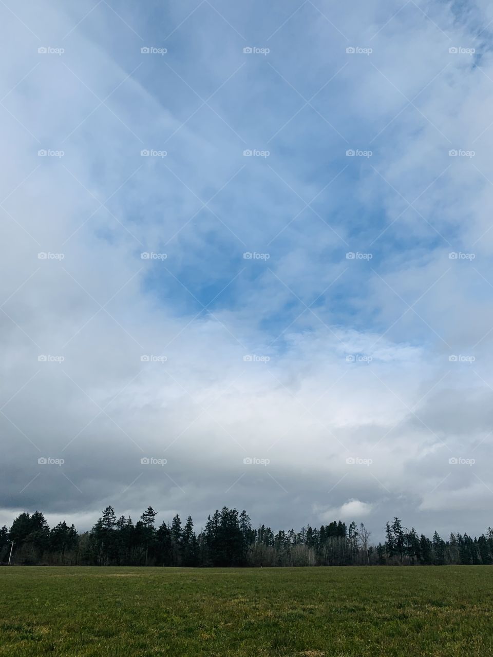 Beautiful sky clouds and trees