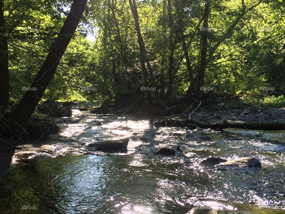 Cuyahoga River in Summer 2