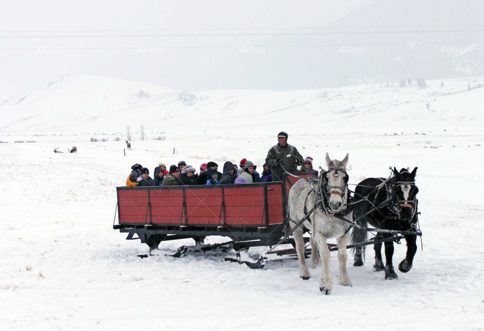 Sleigh Ride