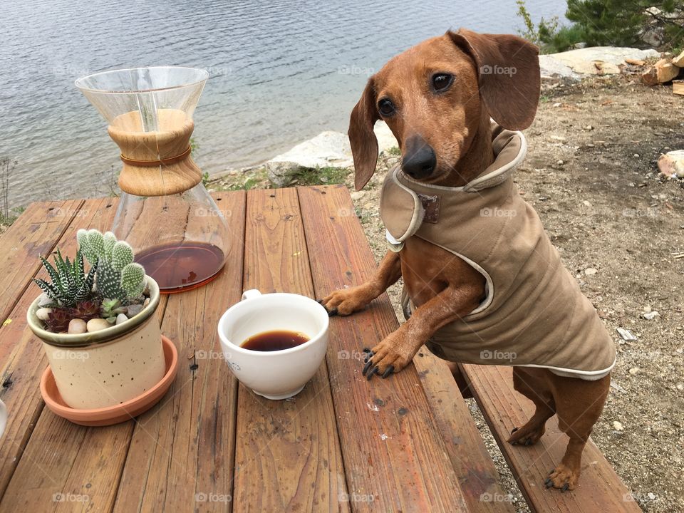 A lively conversation 