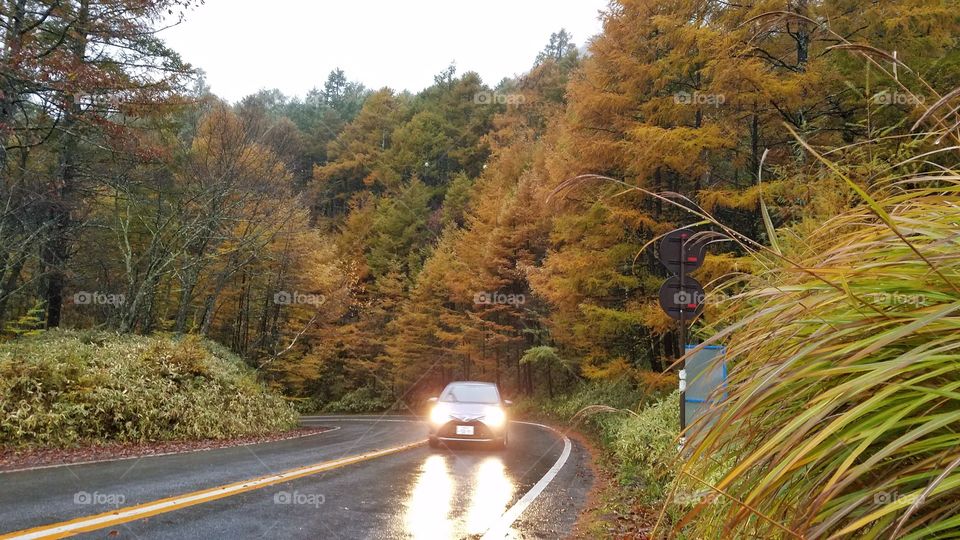 Road trip up in the mountains