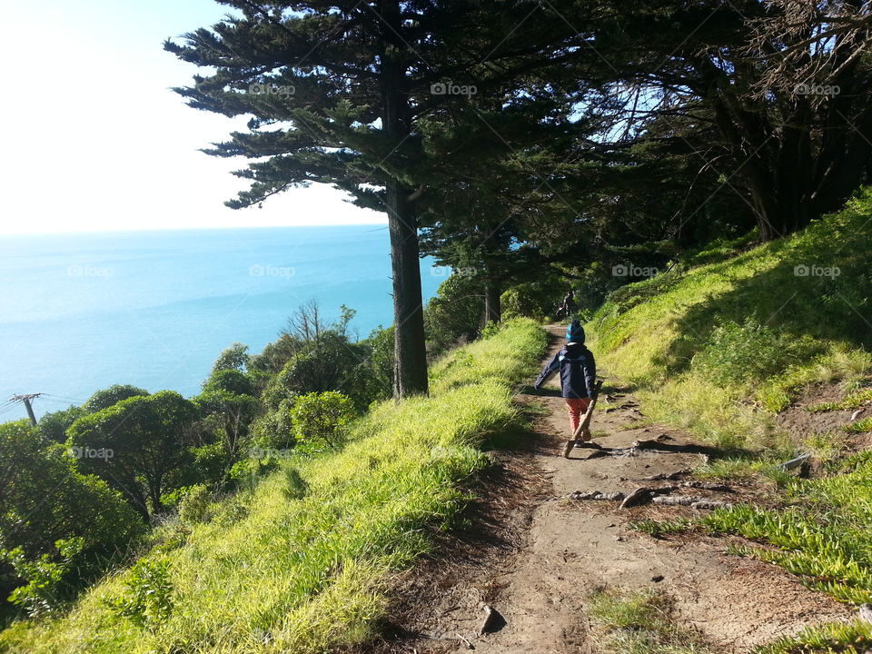 Hiking trail 