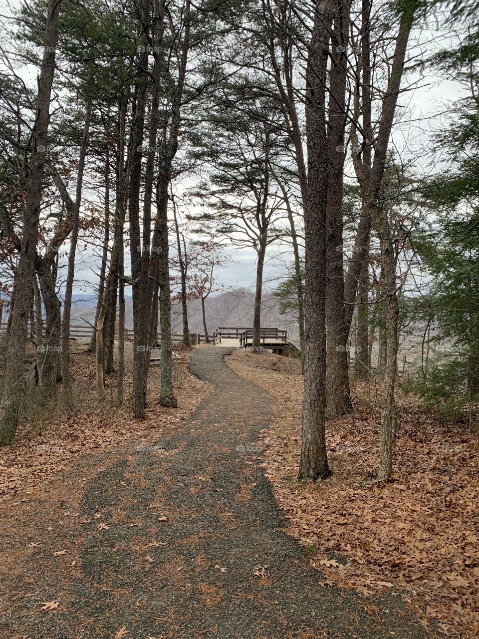 Mountain walkway 