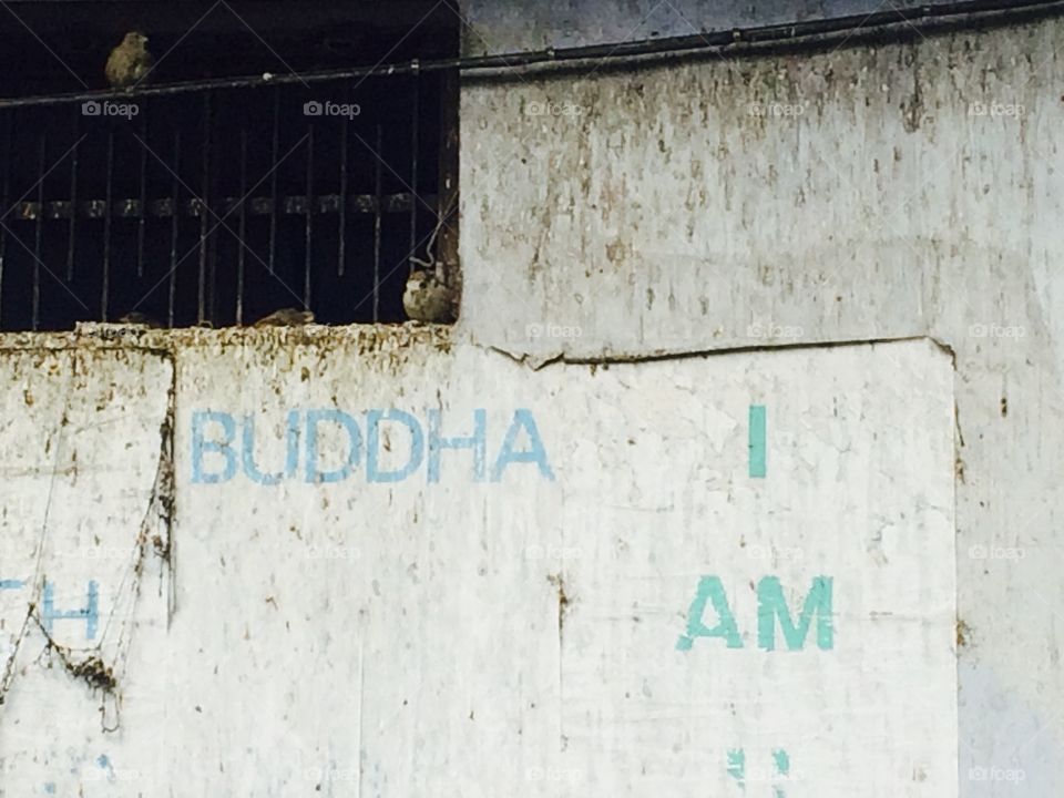 Buddha. Buddha is everywhere