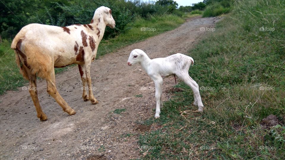so sweetly
 few minutes back
 jest born baby