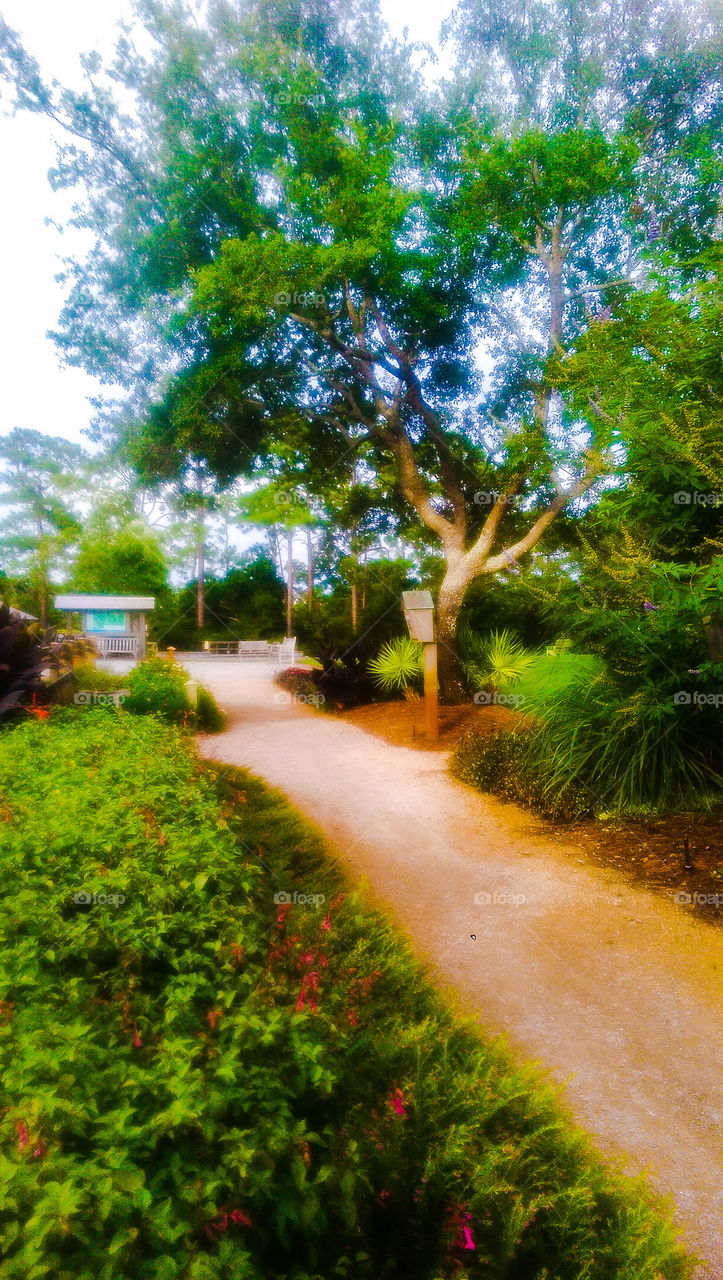 Pathway 