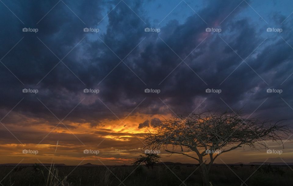 Sunset on the plains near Ladysmith, South Africa