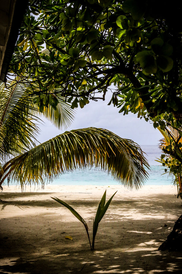 Paradise