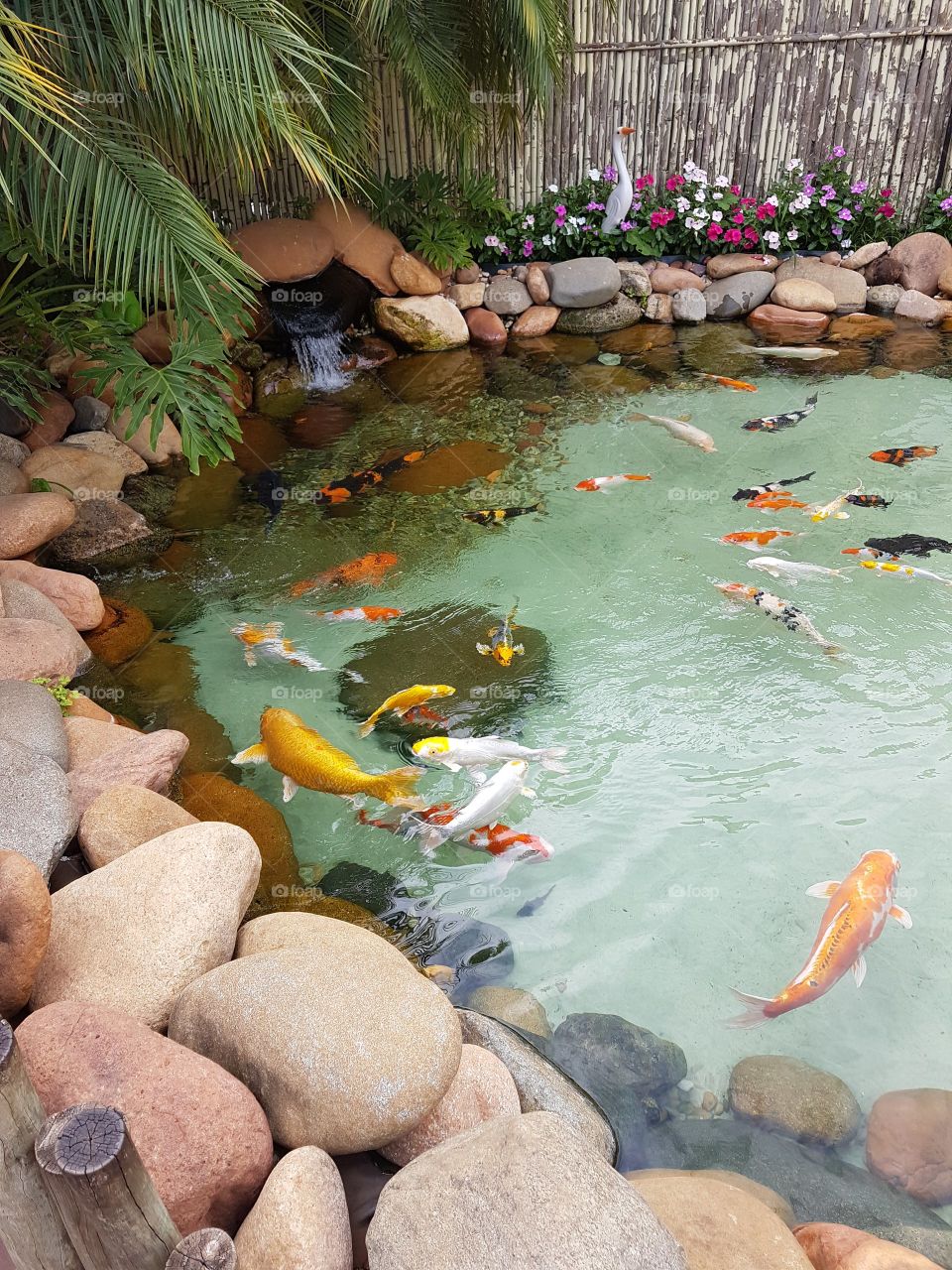 Aquarium in open sky with beautiful fish.