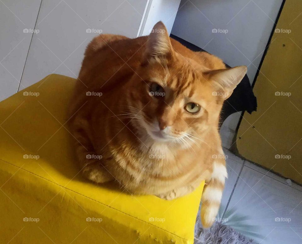 Um olhar fala mais que palavras!