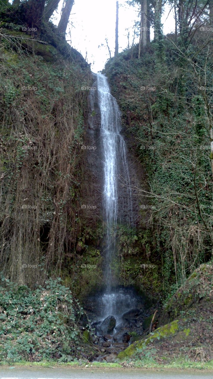 Water, Nature, Waterfall, Wood, Stream