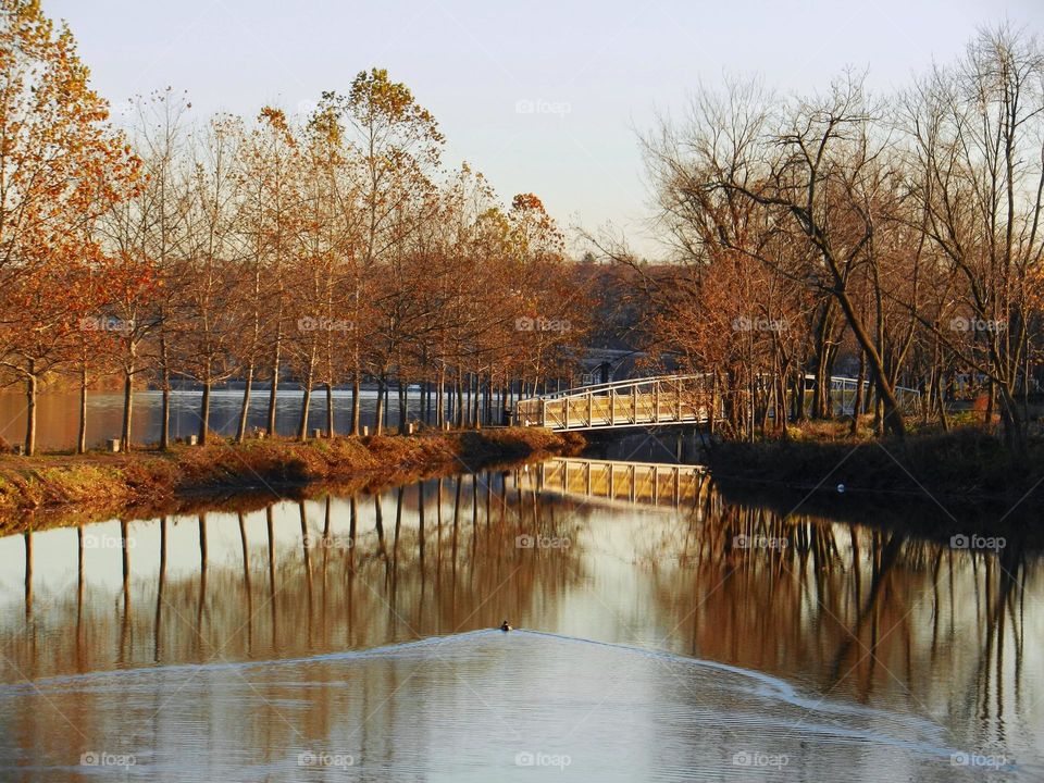 Autumn river