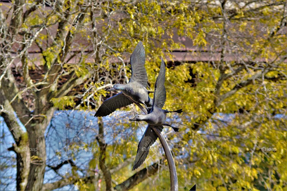 Birds statue 