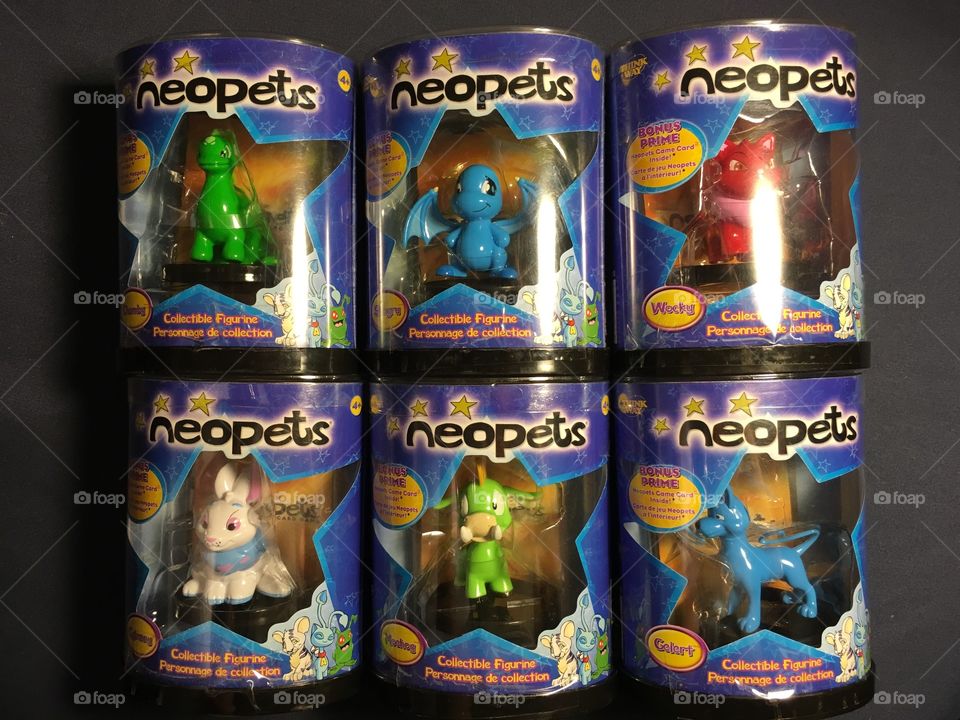 Complete Neopets Action Figure Set all new sealed. 
Released - 2004