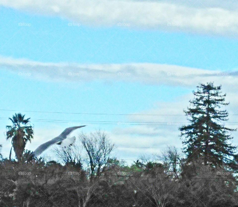 nature clouds! 
#marksphotographytravels