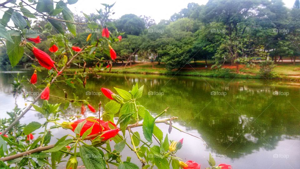 parque Ibirapuera São Paulo