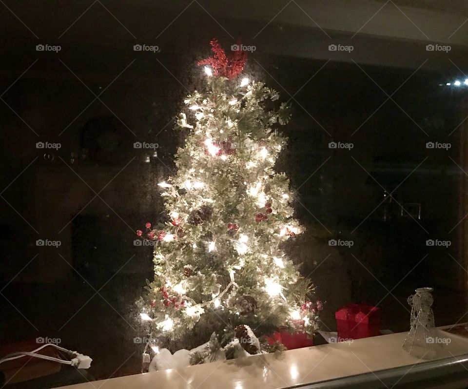 Christmas tree 