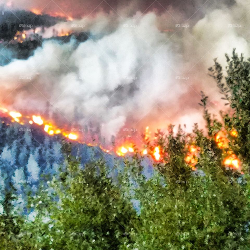 camp fire in California