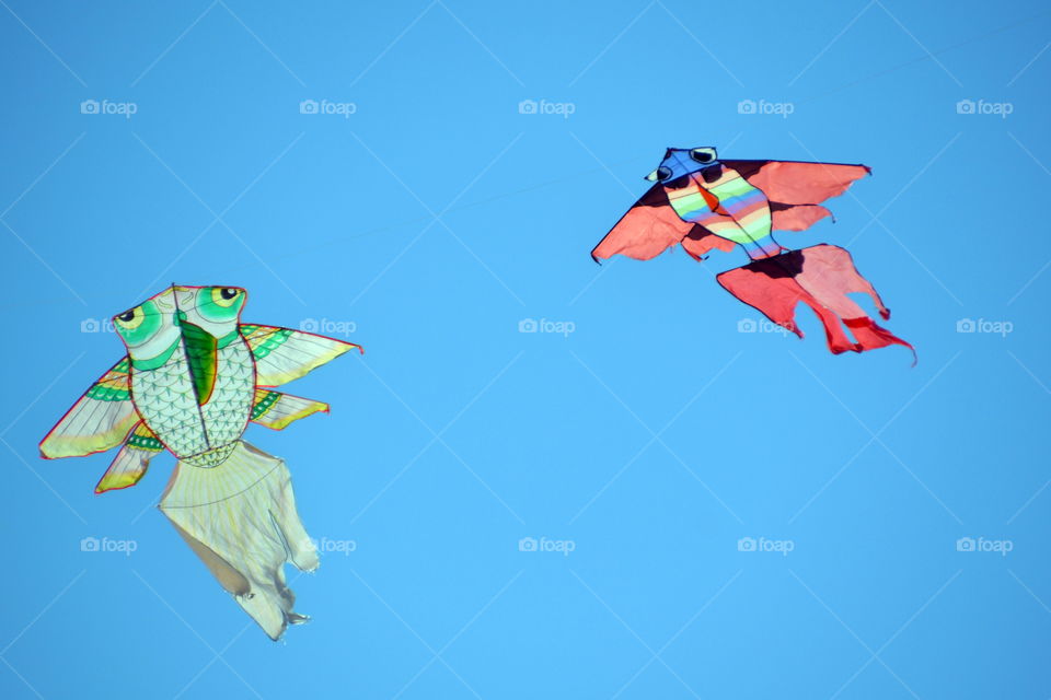 colorful kites flying in the blue sky