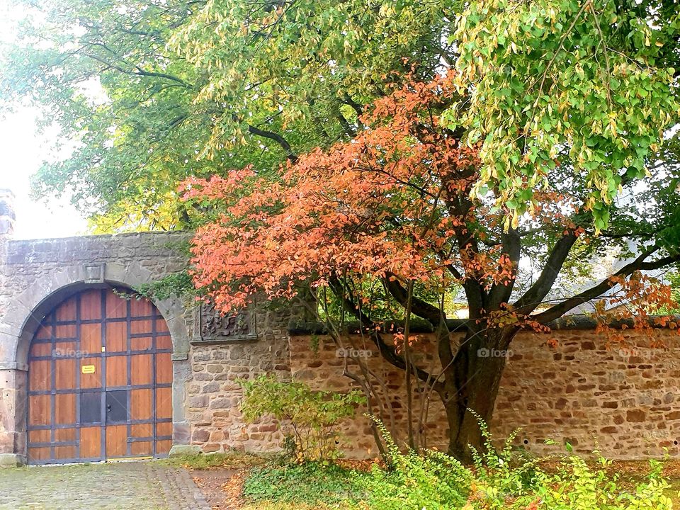 осенняя пора 🍂🍂🍂