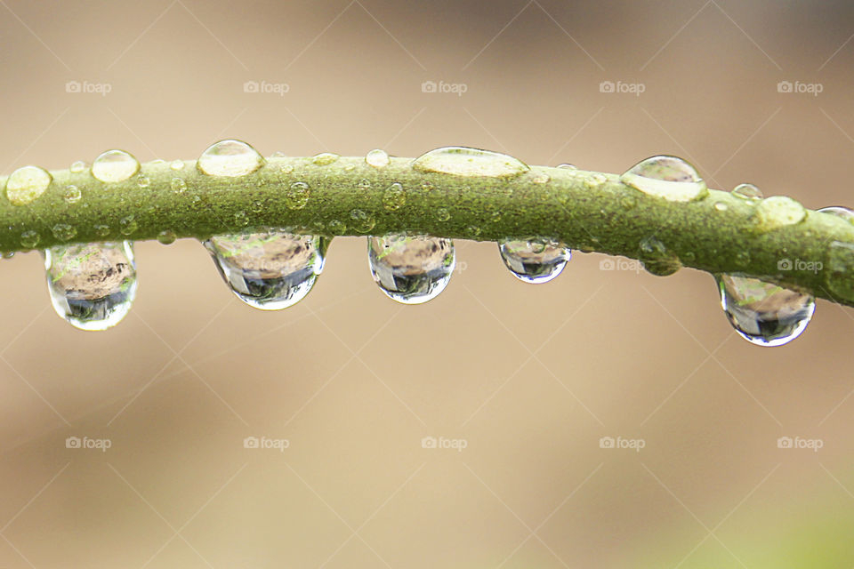 Water drop 💧 