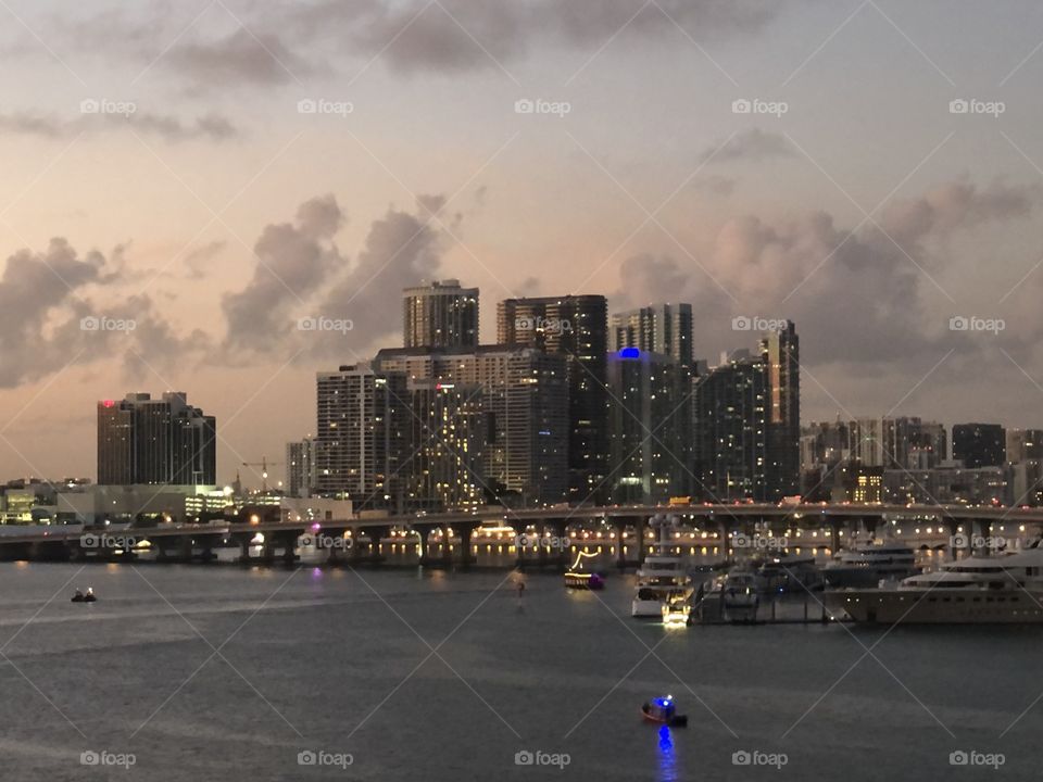 Miami Skyline 