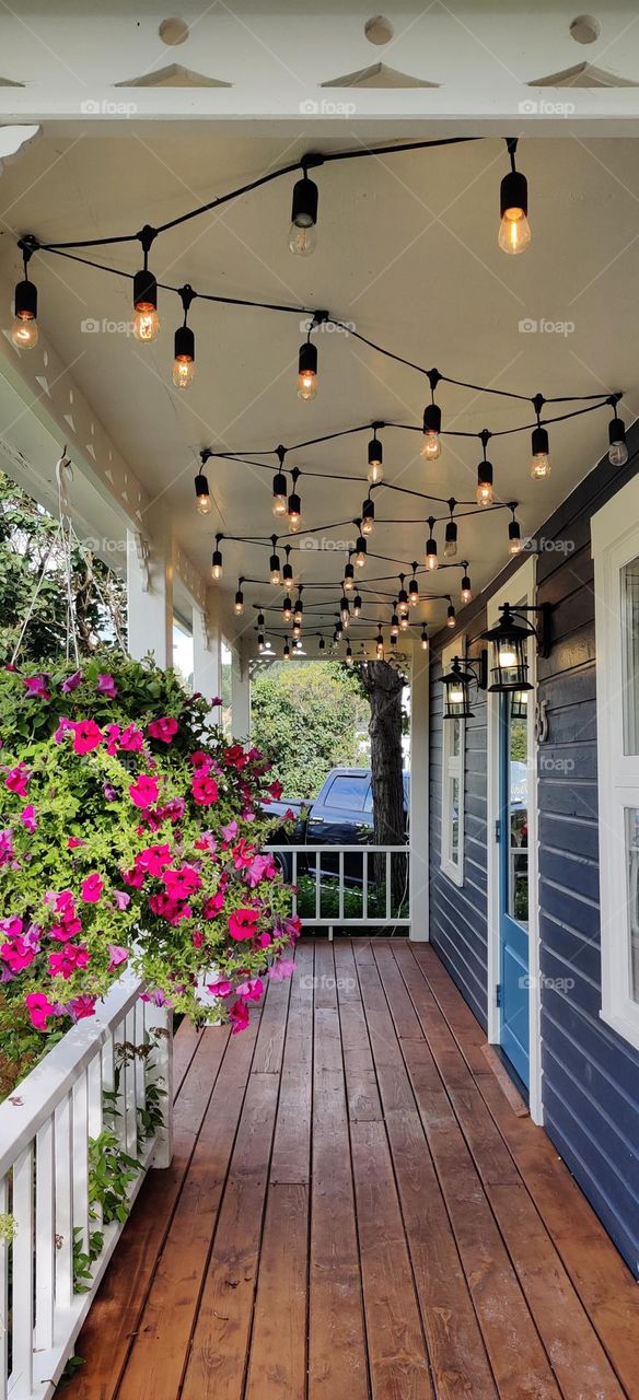 beautiful pink flowers